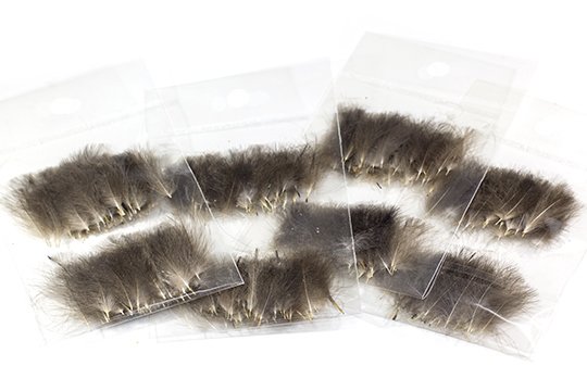 Polish Quills Selected CDC (100 Plumes)